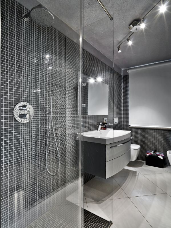 Modern Shower Features