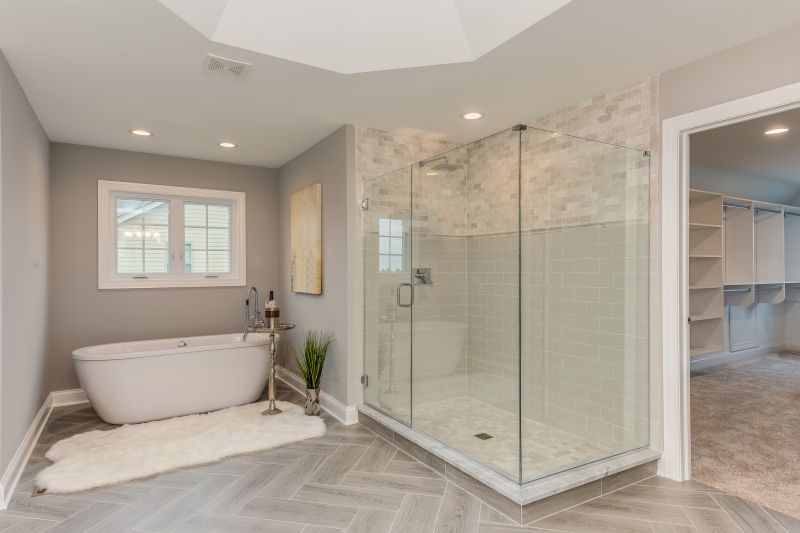 Spacious Shower with Frameless Glass